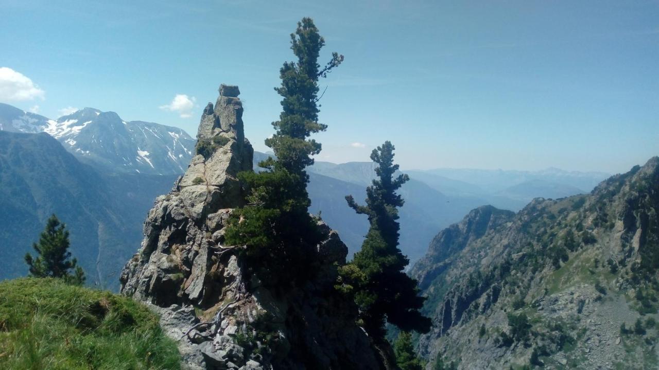 Gite Au Printemps Japonais, Petit Train De La Mure, Parc Des Ecrins Pierre-Chatel Zewnętrze zdjęcie